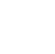 tls-consulting logo